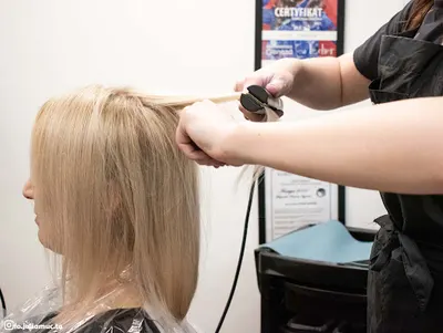 Las Włosów Kaja Oleks